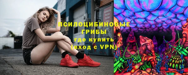 эйфоретик Алзамай