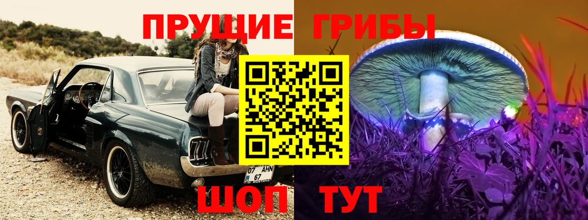 Галлюциногенные грибы GOLDEN TEACHER Дюртюли