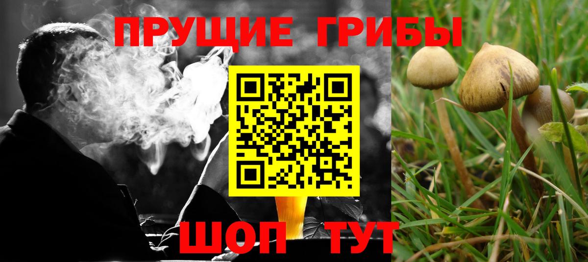 Дюртюли  Псилоцибиновые грибы прущие грибы  Вход с VPN 